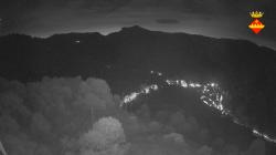 Webcams