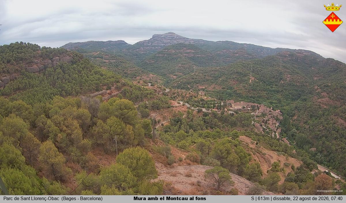 Mura amb el Montcau al fons