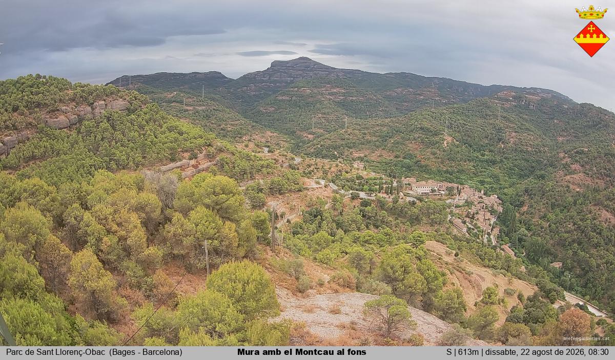 Mura amb el Montcau al fons