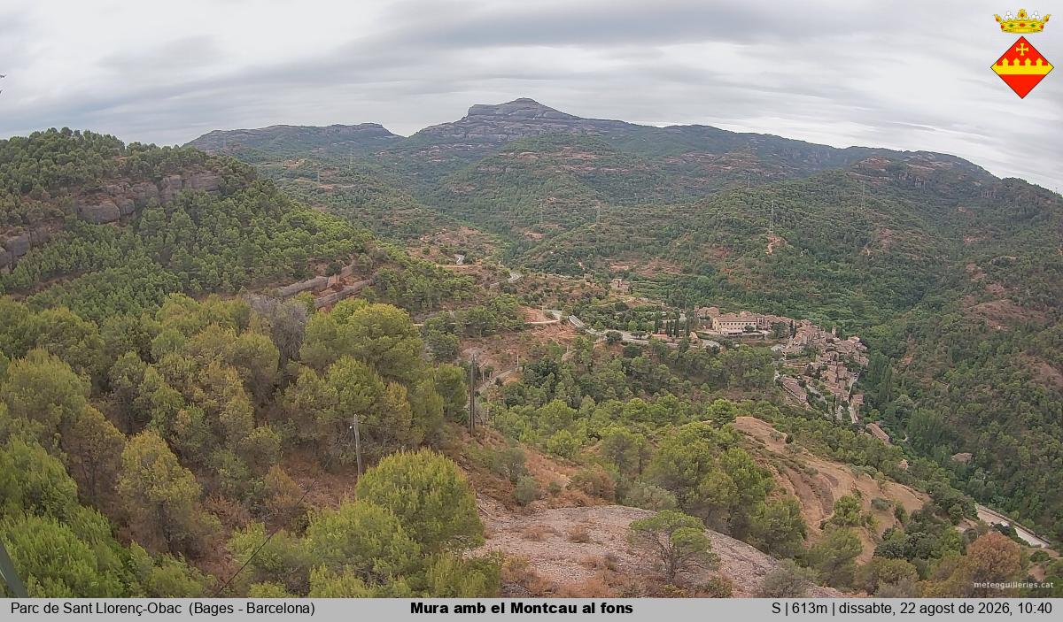 Mura amb el Montcau al fons