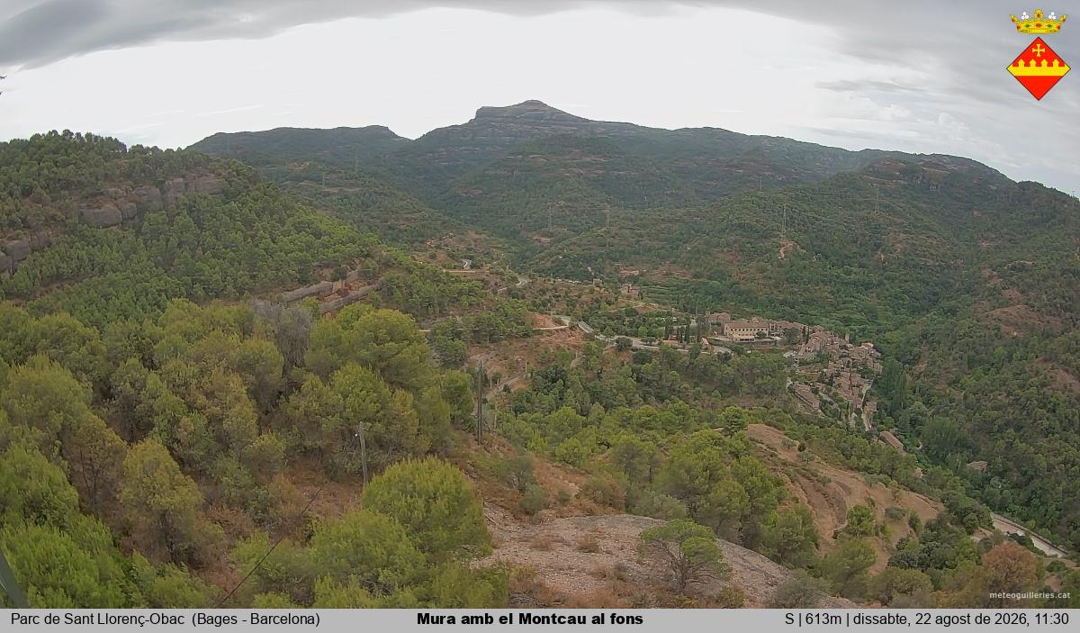 Mura amb el Montcau al fons