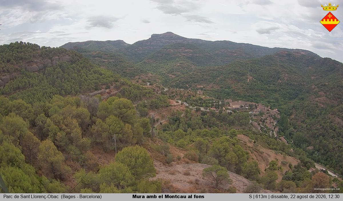 Mura amb el Montcau al fons