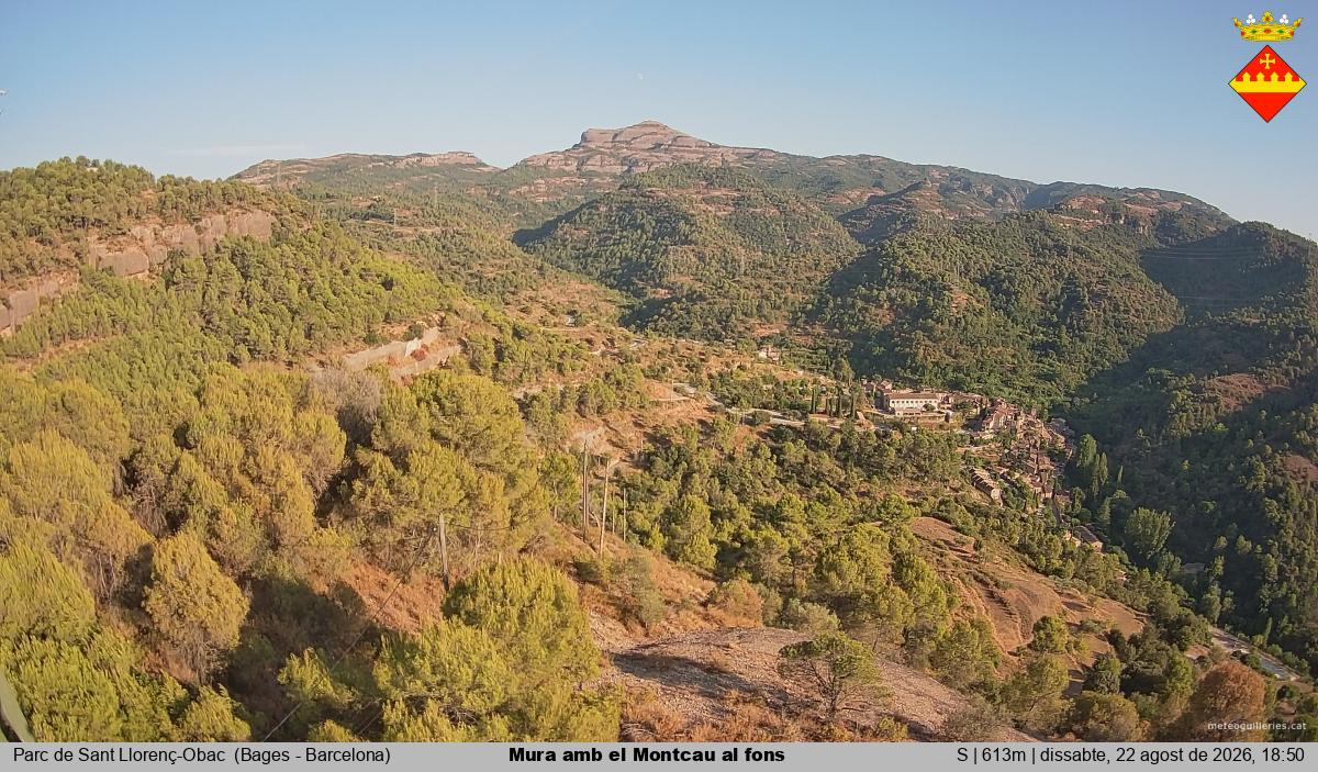 Mura amb el Montcau al fons