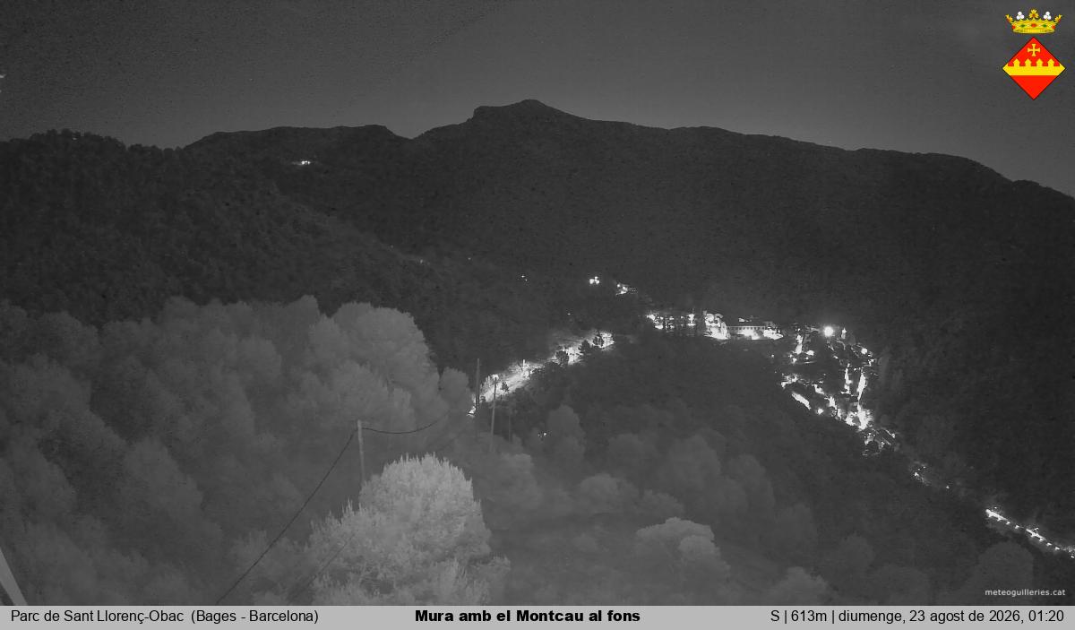 Mura amb el Montcau al fons