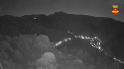 Webcams