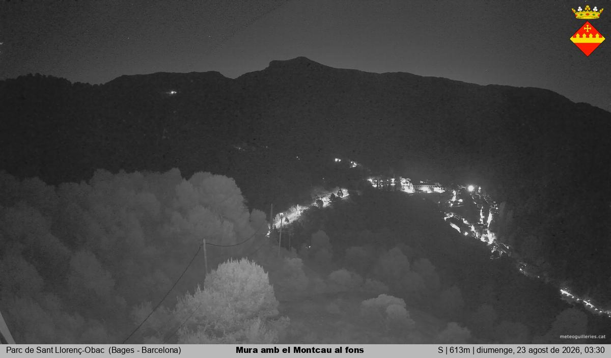 Mura amb el Montcau al fons
