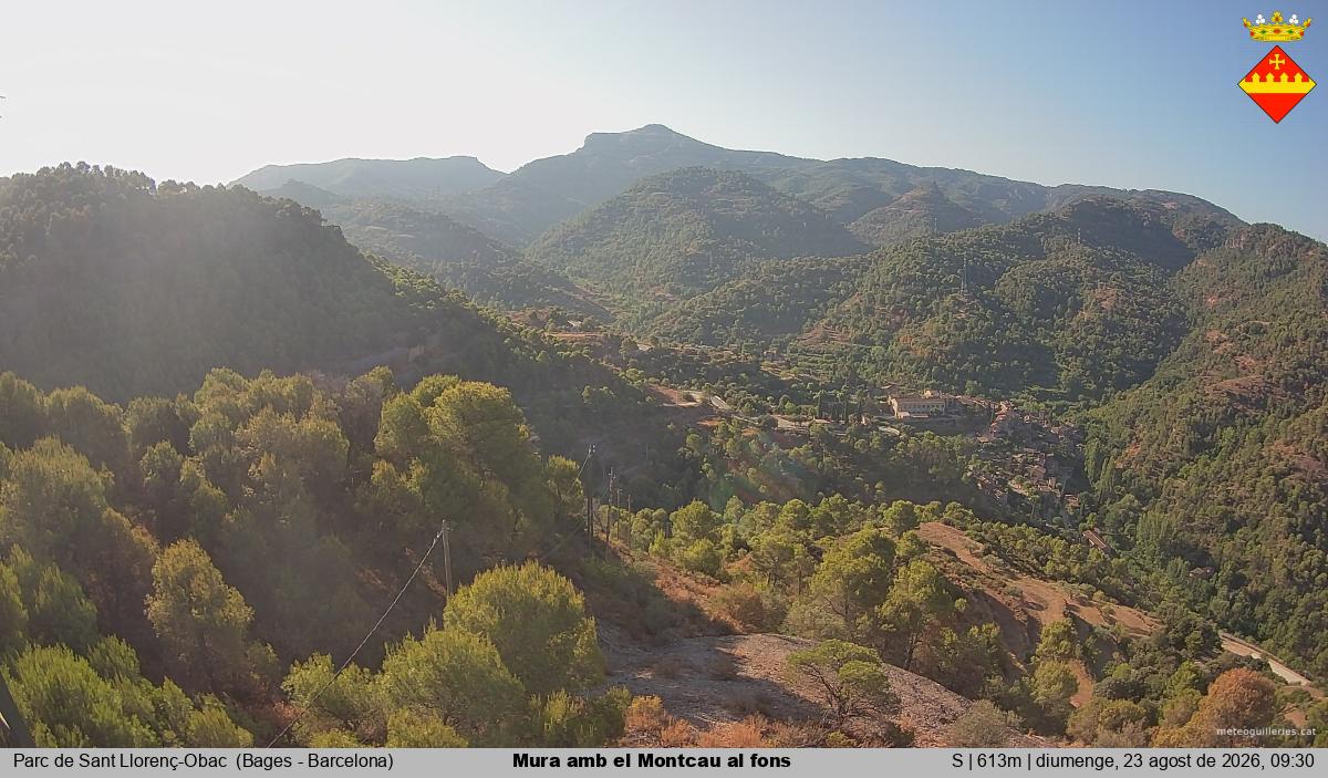 Mura amb el Montcau al fons