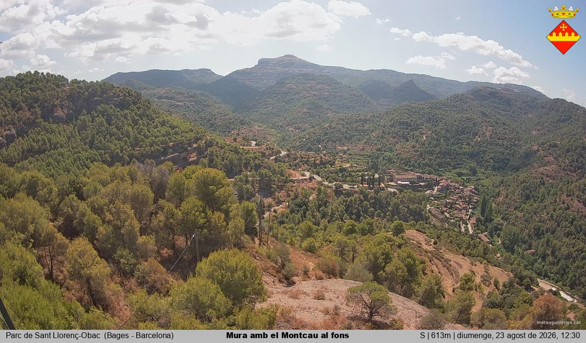 Mura amb el Montcau al fons