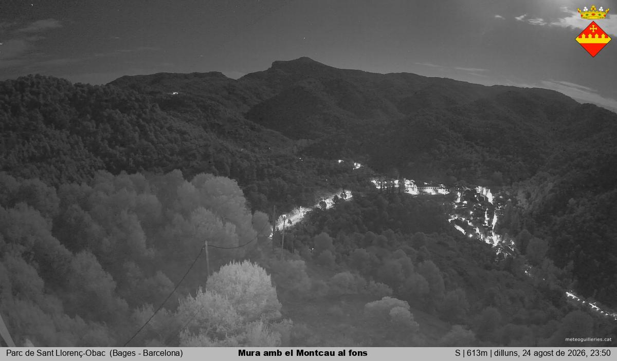 Mura amb el Montcau al fons