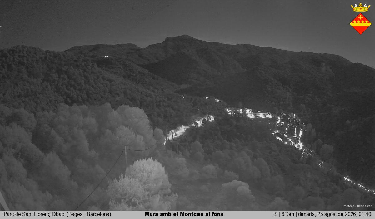 Mura amb el Montcau al fons