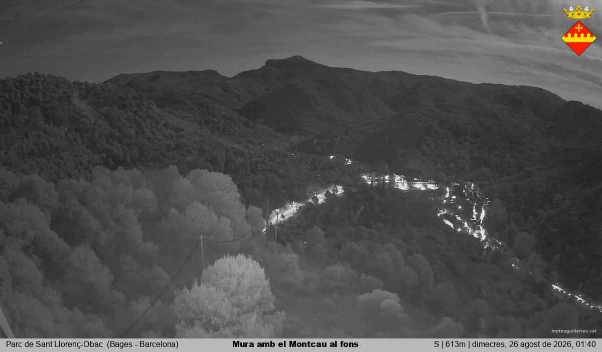 Mura amb el Montcau al fons