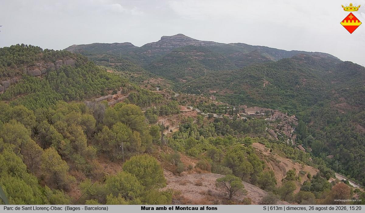 Mura amb el Montcau al fons