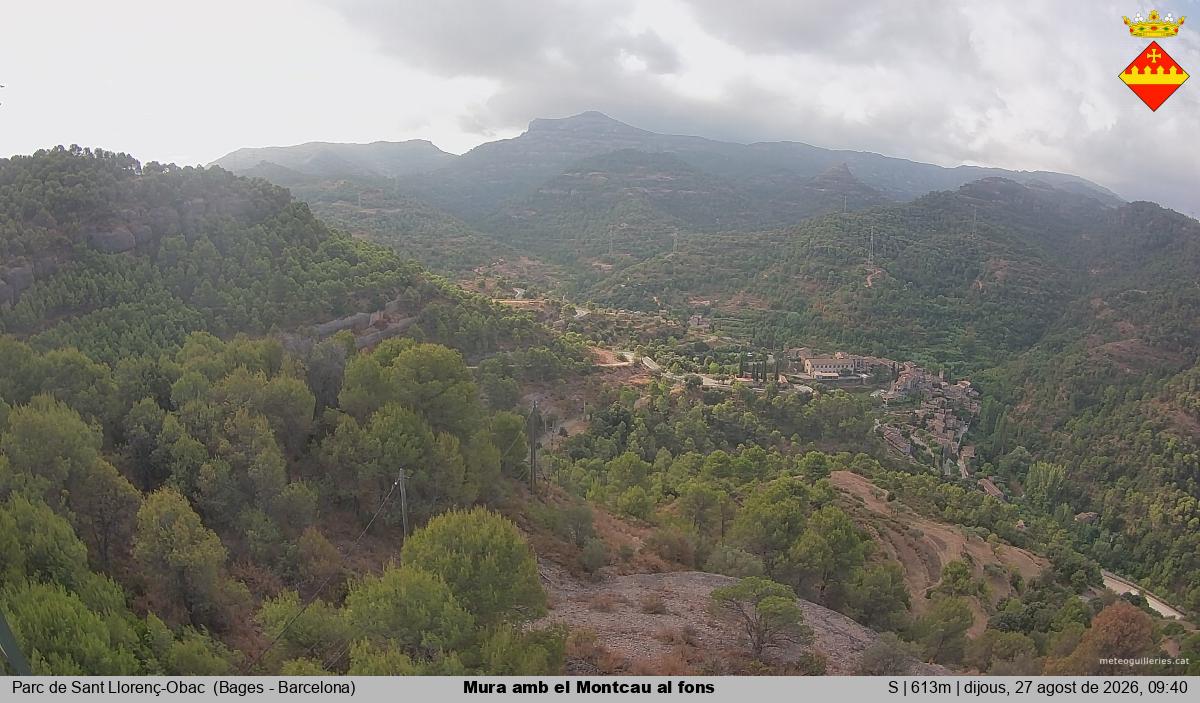Mura amb el Montcau al fons