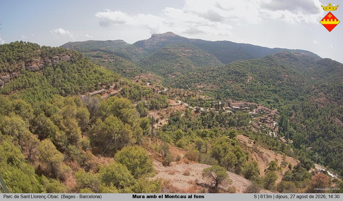 Mura amb el Montcau al fons
