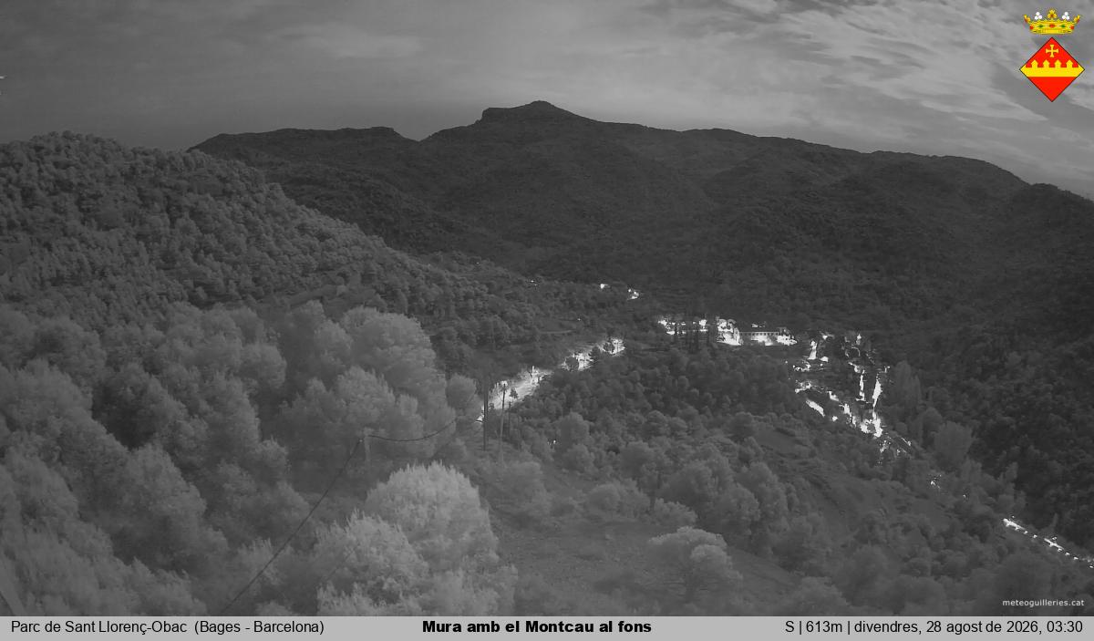 Mura amb el Montcau al fons