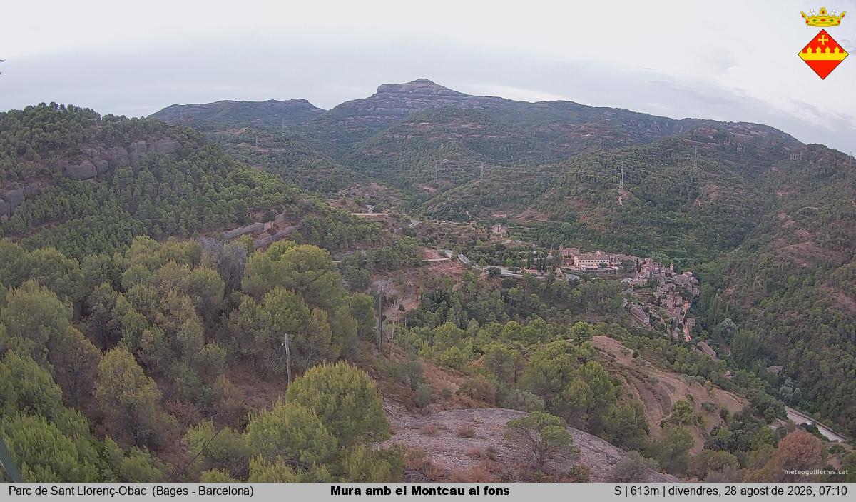 Mura amb el Montcau al fons
