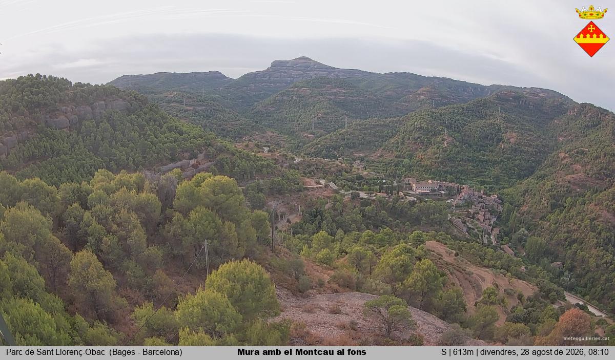 Mura amb el Montcau al fons