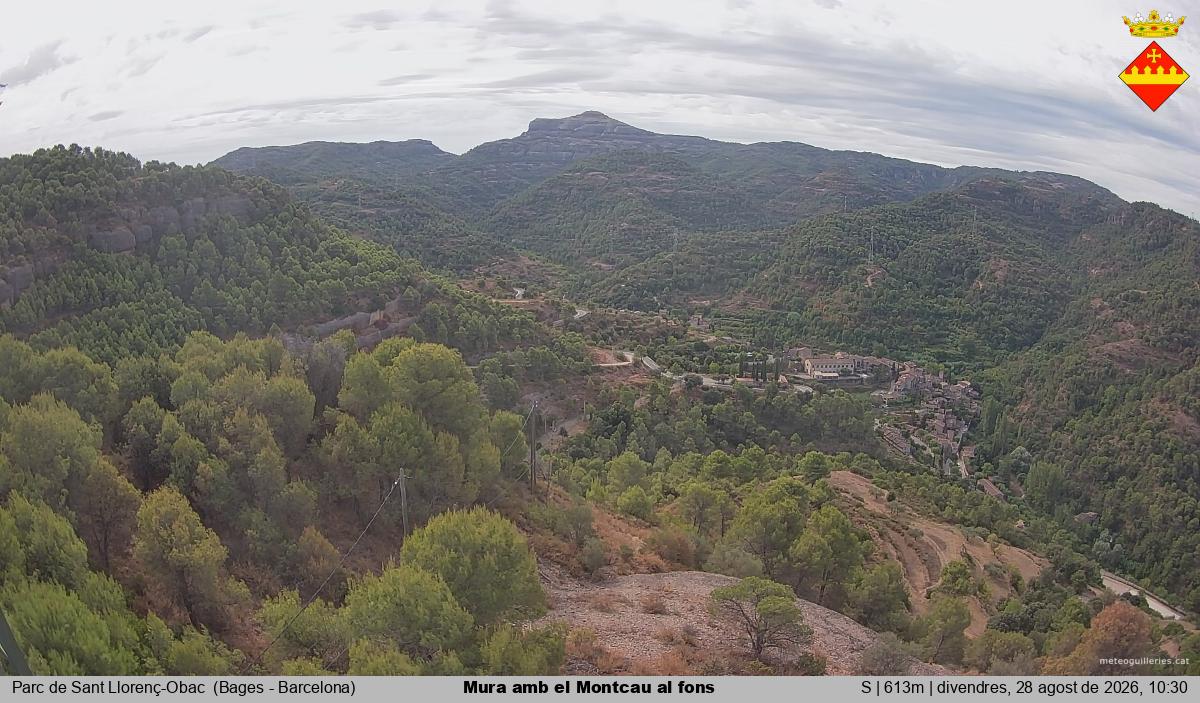 Mura amb el Montcau al fons