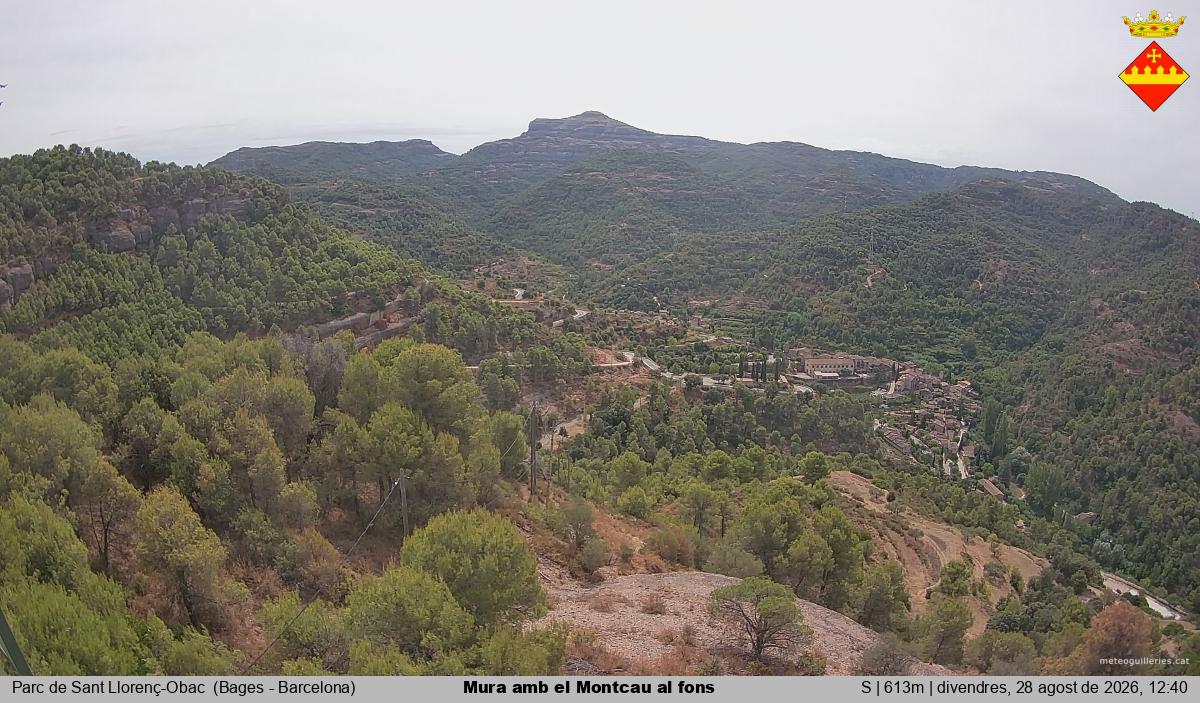 Mura amb el Montcau al fons