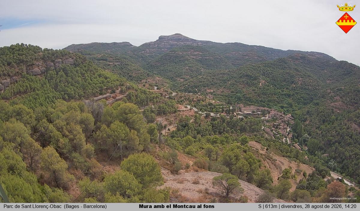 Mura amb el Montcau al fons