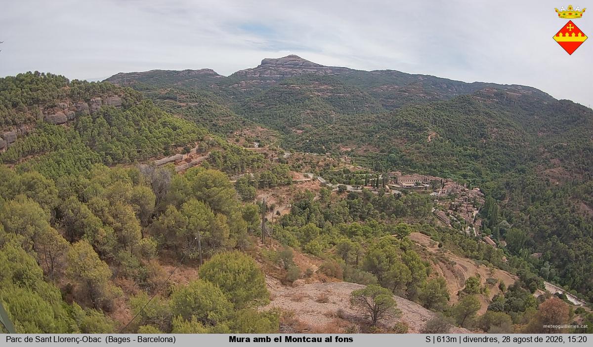 Mura amb el Montcau al fons