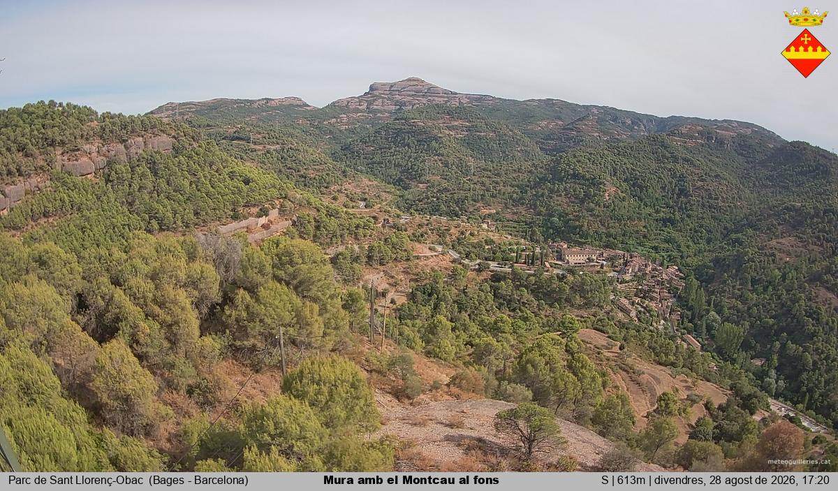 Mura amb el Montcau al fons