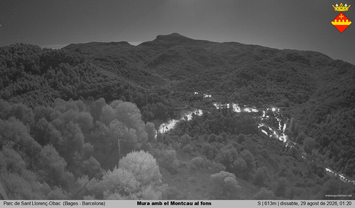 Mura amb el Montcau al fons