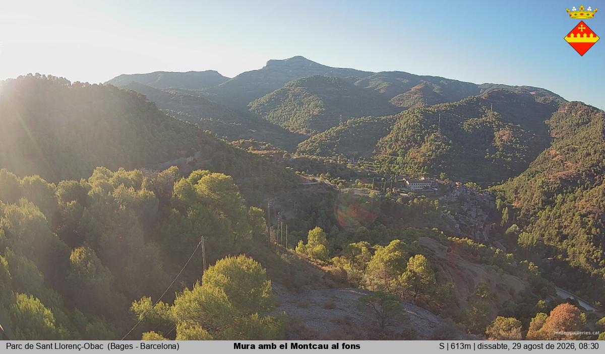 Mura amb el Montcau al fons