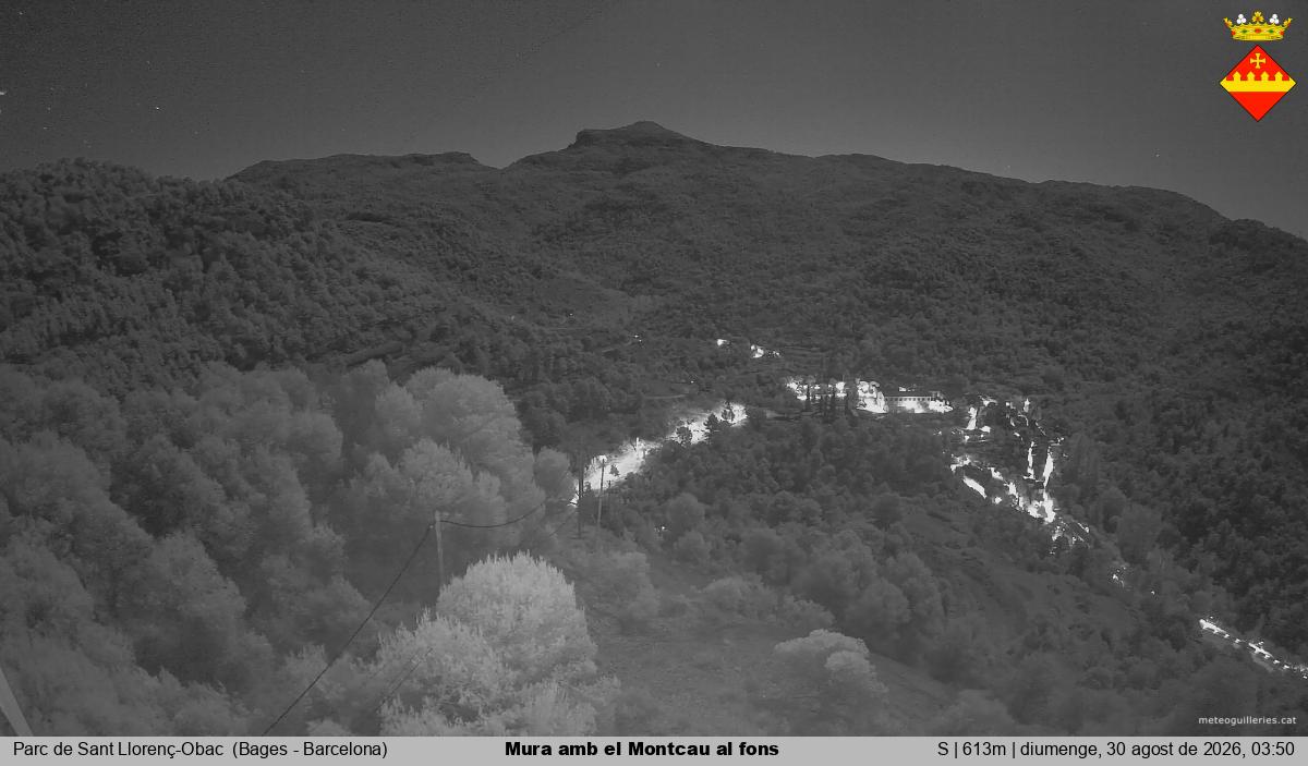 Mura amb el Montcau al fons
