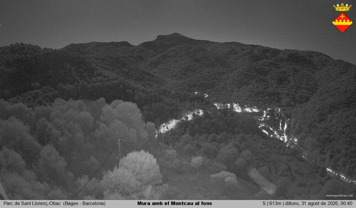 Mura amb el Montcau al fons