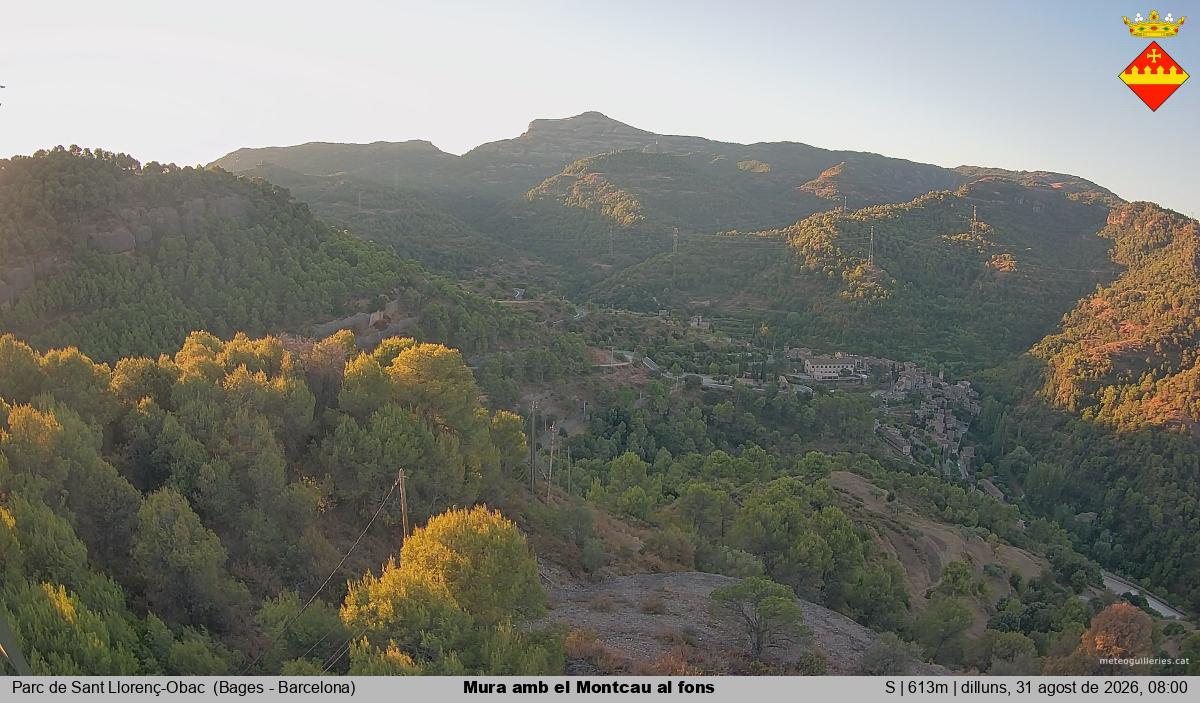 Mura amb el Montcau al fons