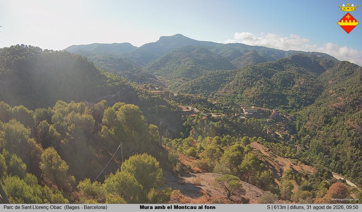Mura amb el Montcau al fons