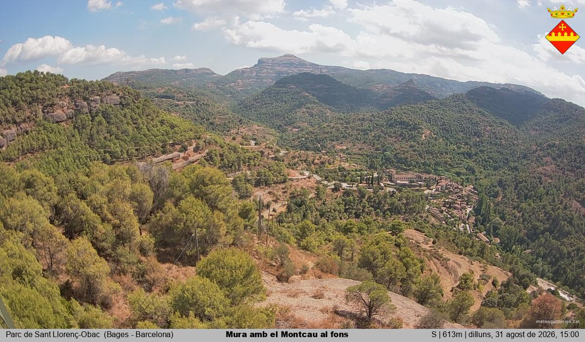 Mura amb el Montcau al fons