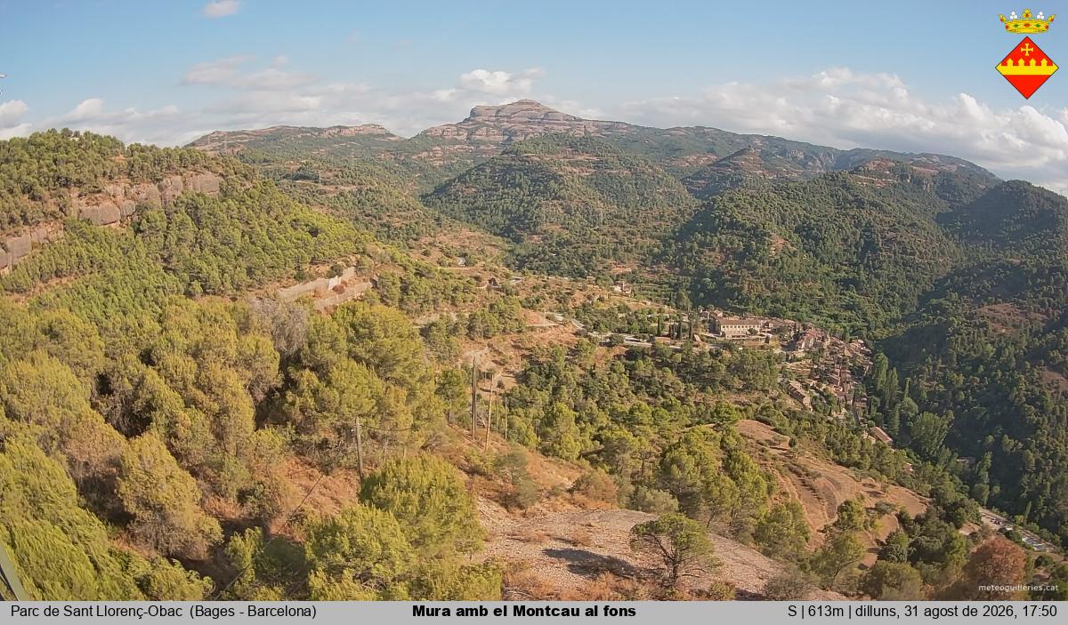 Mura amb el Montcau al fons