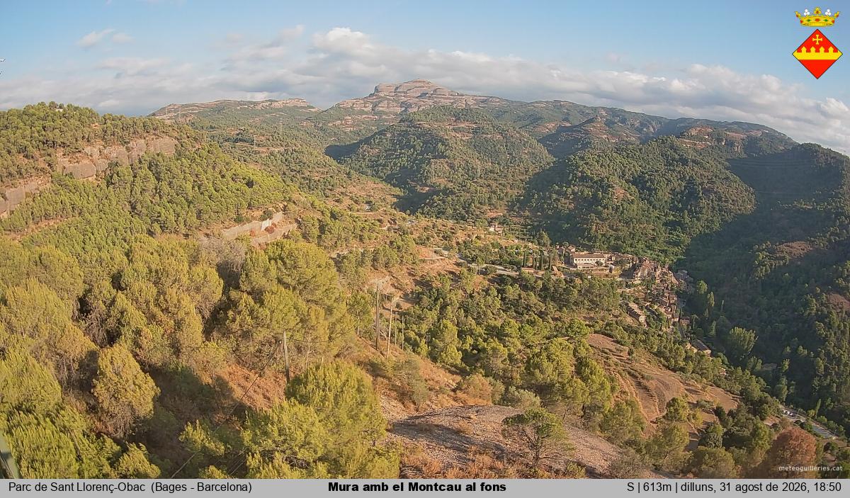 Mura amb el Montcau al fons
