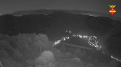 Webcams