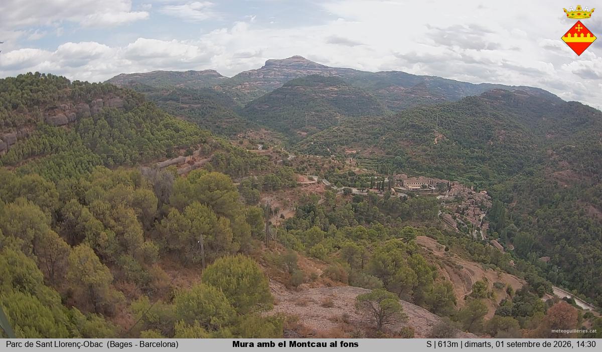 Mura amb el Montcau al fons
