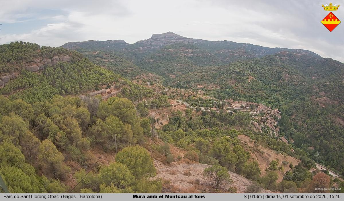 Mura amb el Montcau al fons