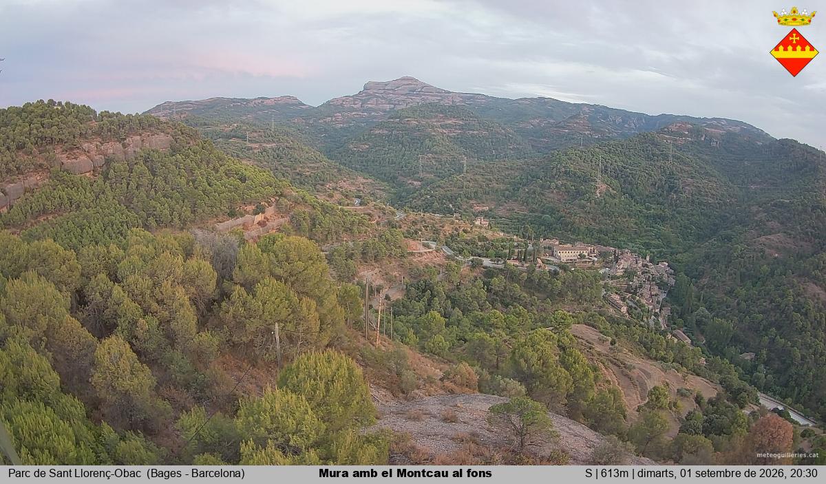 Mura amb el Montcau al fons