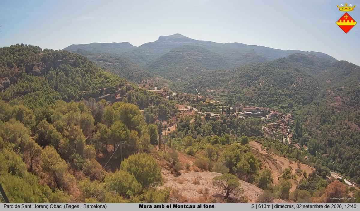 Mura amb el Montcau al fons