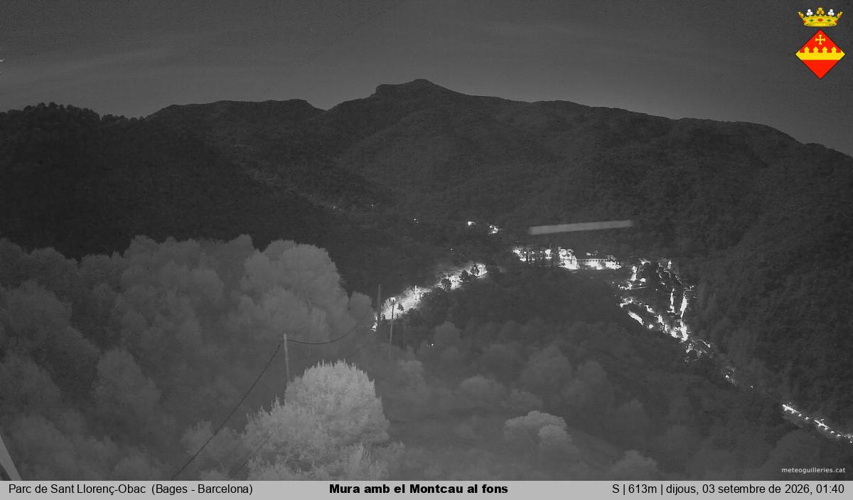 Mura amb el Montcau al fons