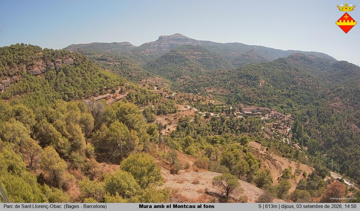 Mura amb el Montcau al fons