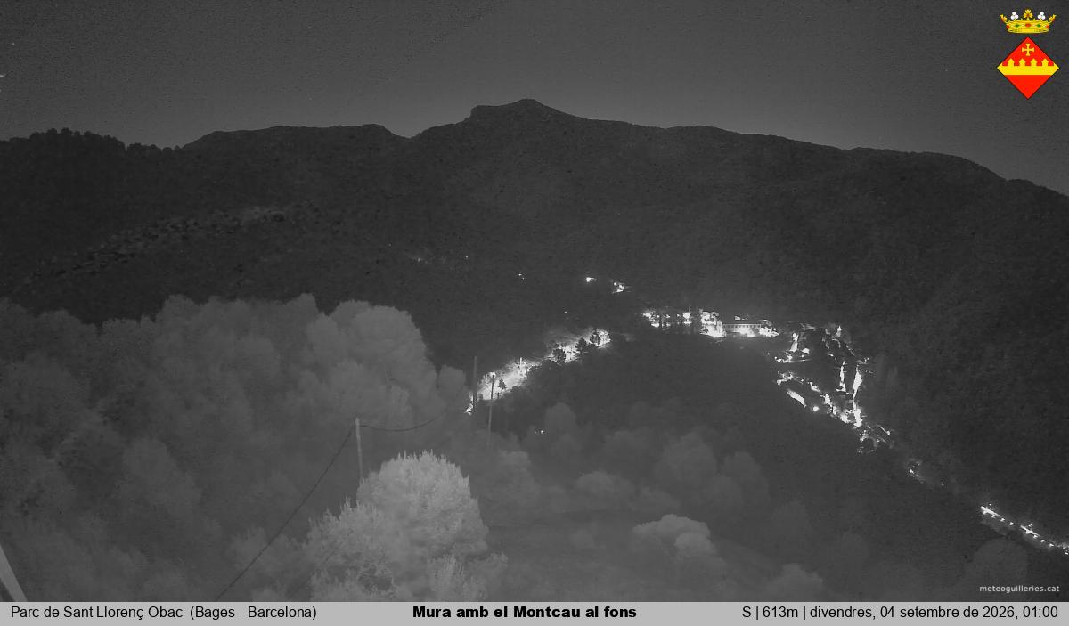 Mura amb el Montcau al fons