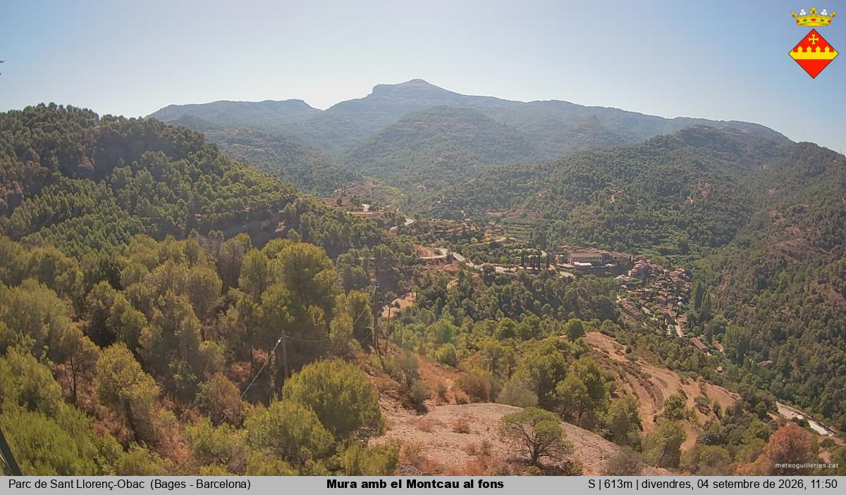 Mura amb el Montcau al fons