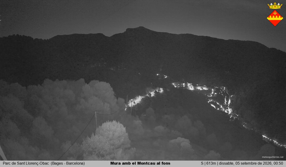 Mura amb el Montcau al fons