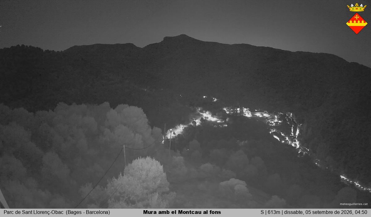 Mura amb el Montcau al fons