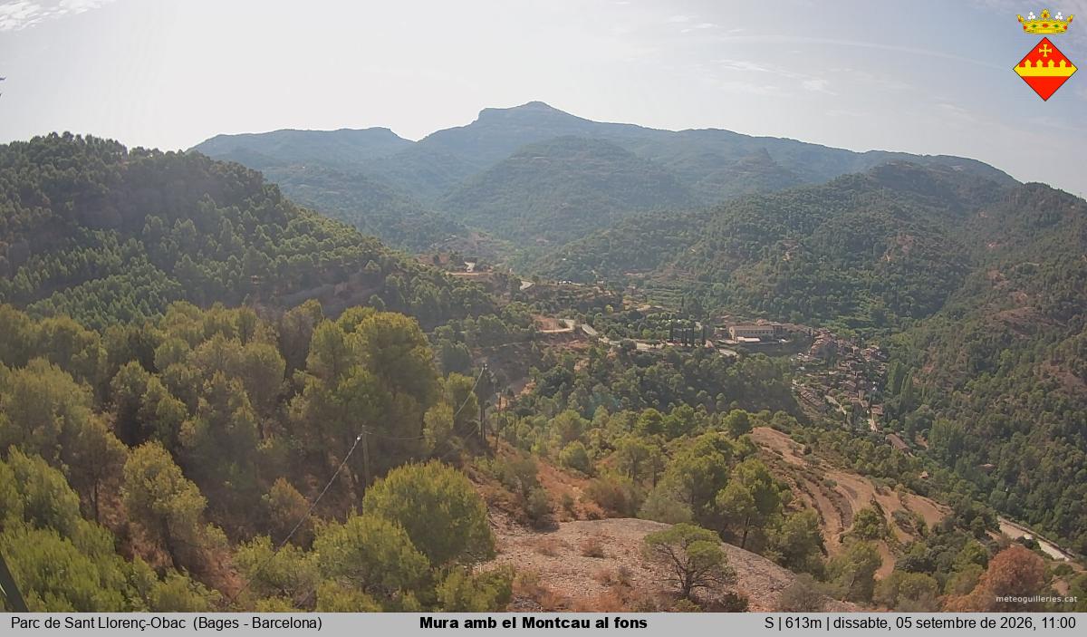 Mura amb el Montcau al fons