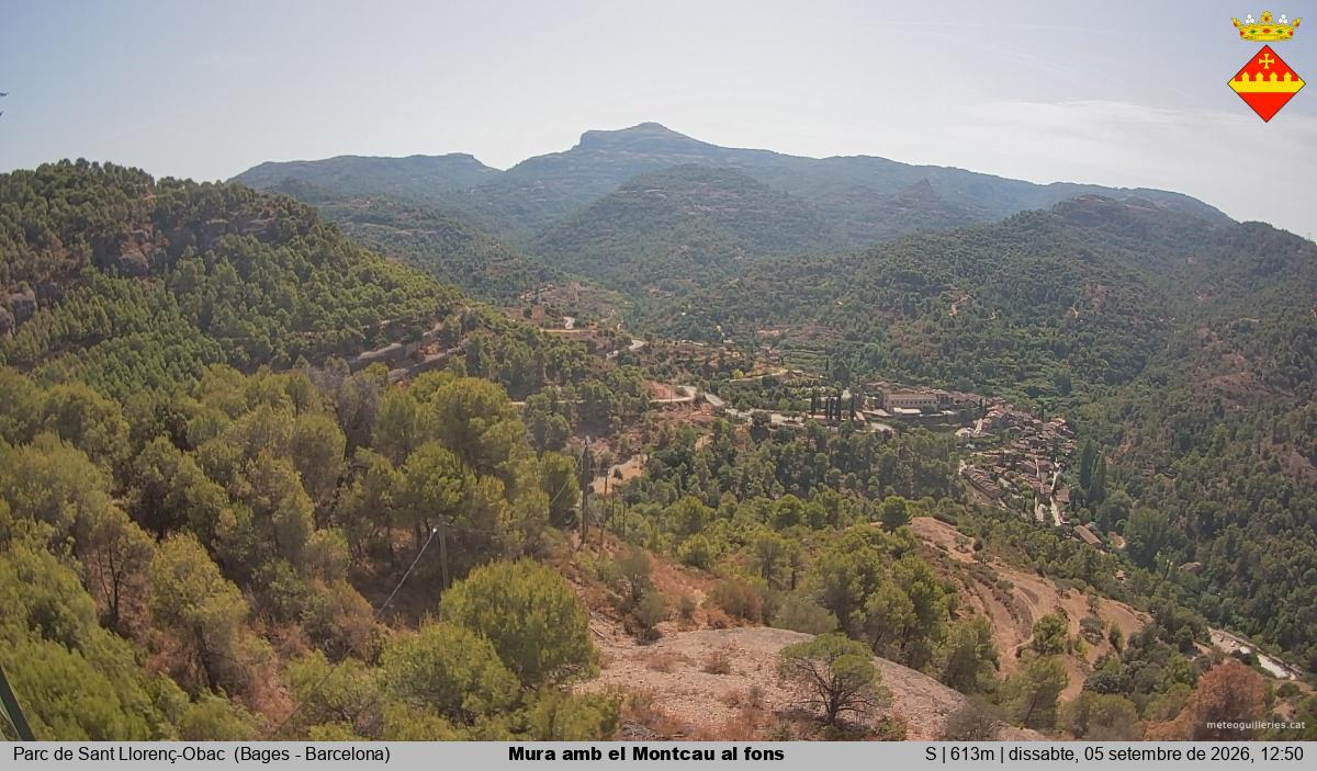 Mura amb el Montcau al fons