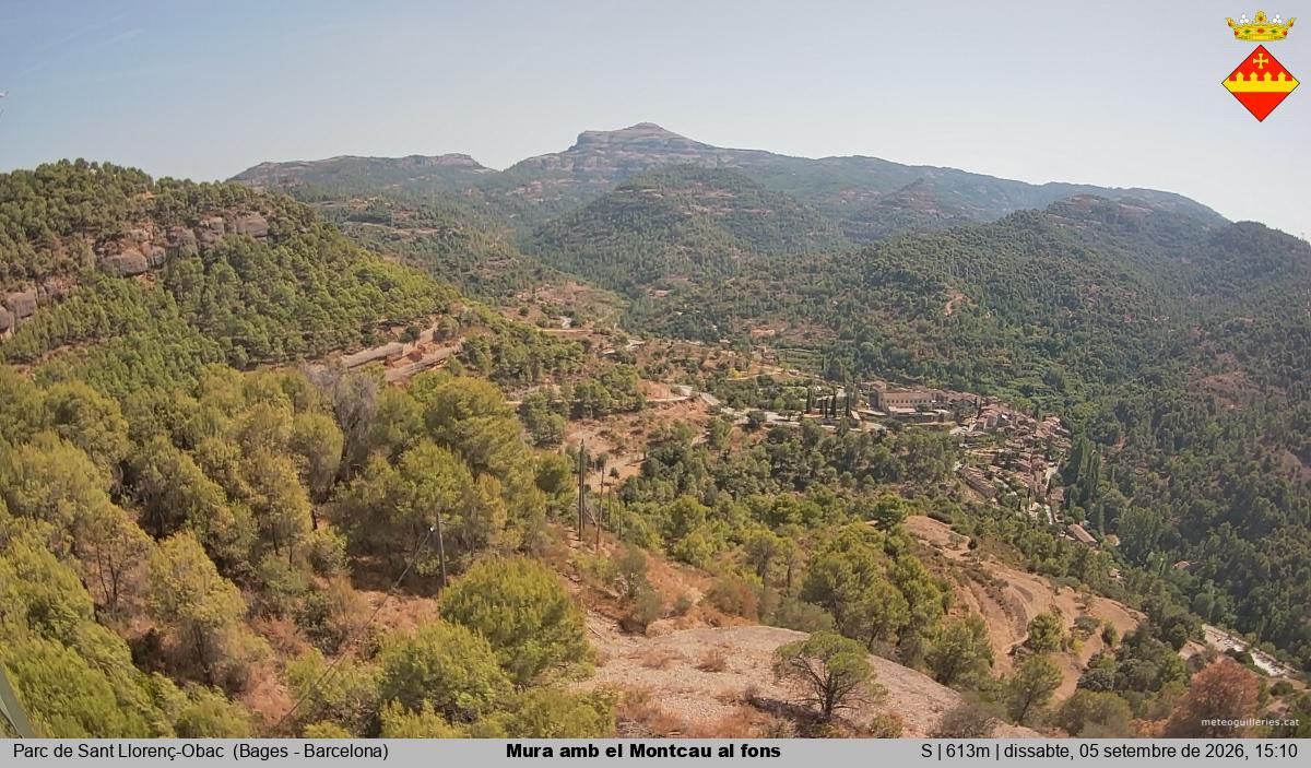 Mura amb el Montcau al fons