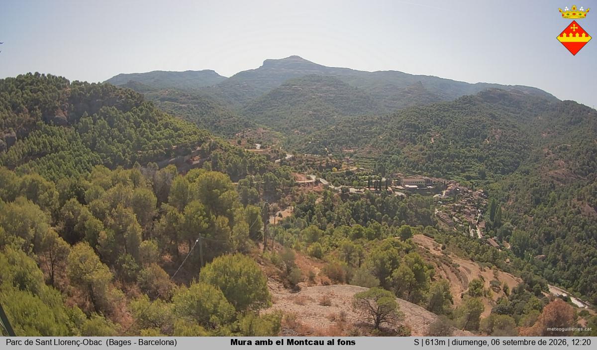Mura amb el Montcau al fons